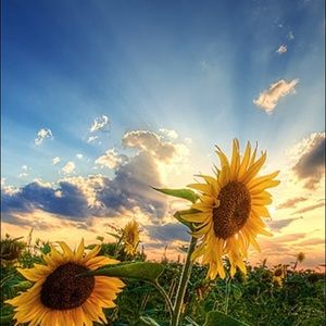 Meet your Posher, Celina